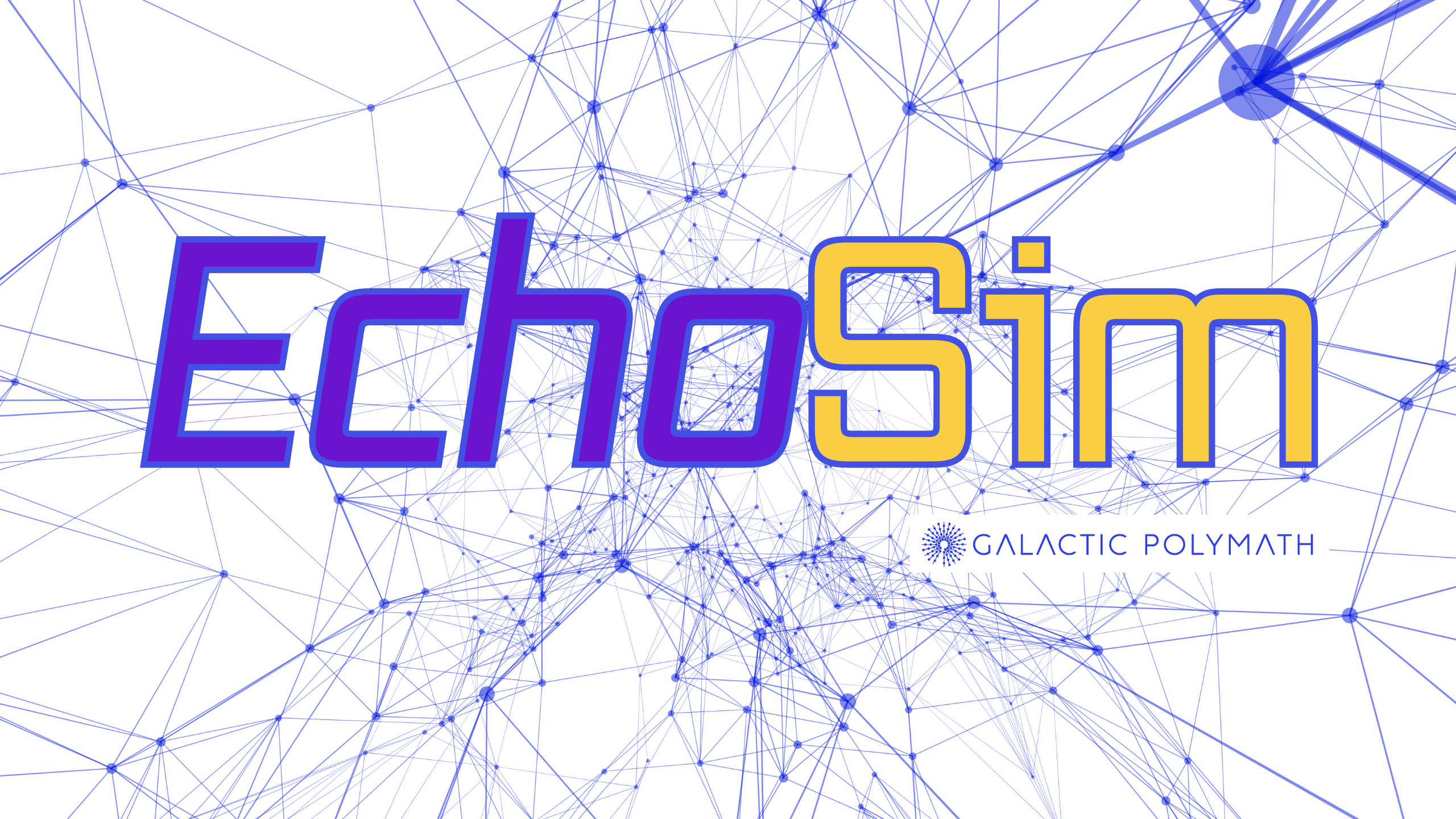 "EchoSim" Echo Chamber Simulation