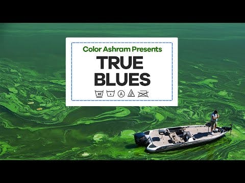 True Blues: Textiles Water Pollution Problem