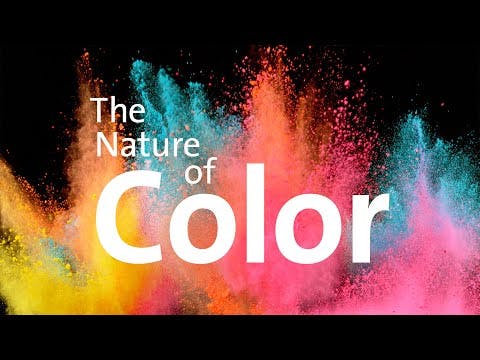 The Nature of Colour at the American Museum of Natural History
