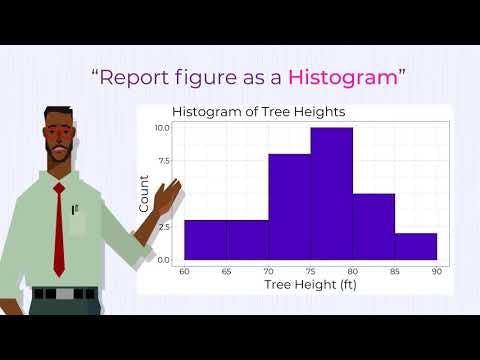 Scatter plots or histograms? Why data visualization is important