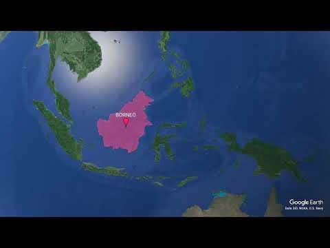 Borneo Atmospheric Video