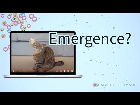 What makes a video go viral? Emergence!